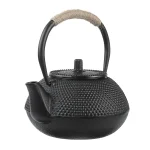 Théière en fonte japonaise​