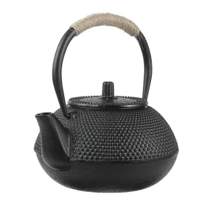 Théière en fonte japonaise​