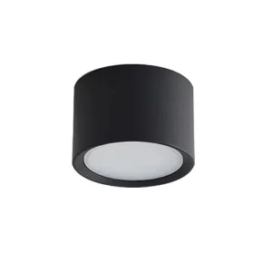 Noir