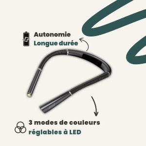 Lampe de Lecture Rechargeable à Col de Cygne Flexible