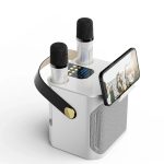 Haut-Parleur Karaoke Portable Bluetooth - Son Surround 360° et Deux Microphones