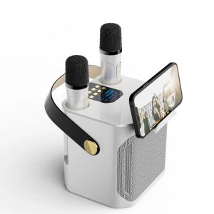 Haut-Parleur Karaoke Portable Bluetooth - Son Surround 360° et Deux Microphones