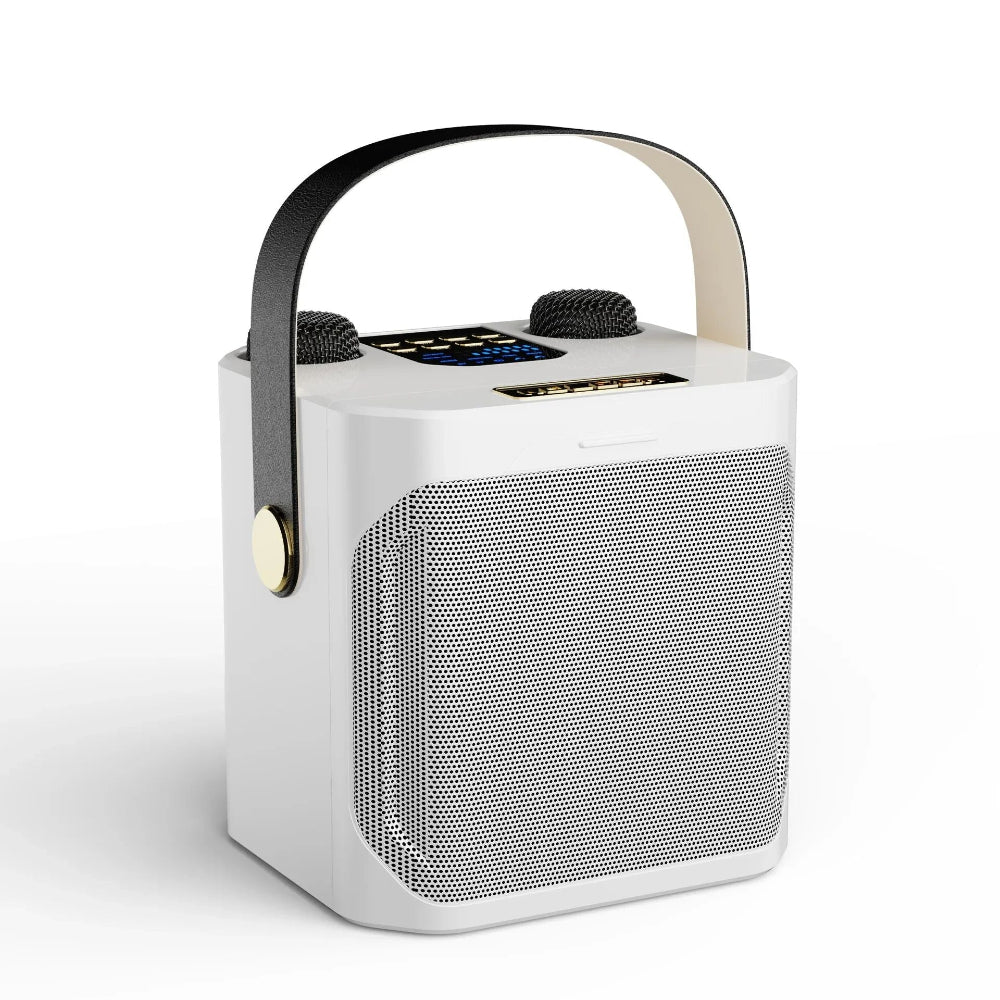 Enceinte Karaoké Bluetooth Portable Son Surround et Double Microphone – Image 4