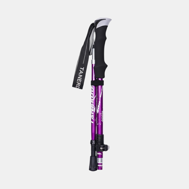 Bâtons De Randonnée Télescopiques En Aluminium Ou Carbone Pour Stabilité Et Confort En Plein Air Camping & Hiking Electro Paris Violet