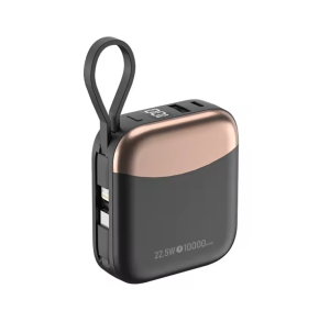 Mini Batterie Externe 10000mAh Charge Rapide 66W USB-C