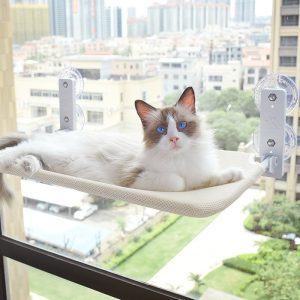 Hamac Mural pour Chat Confortable et Gain d’Espace