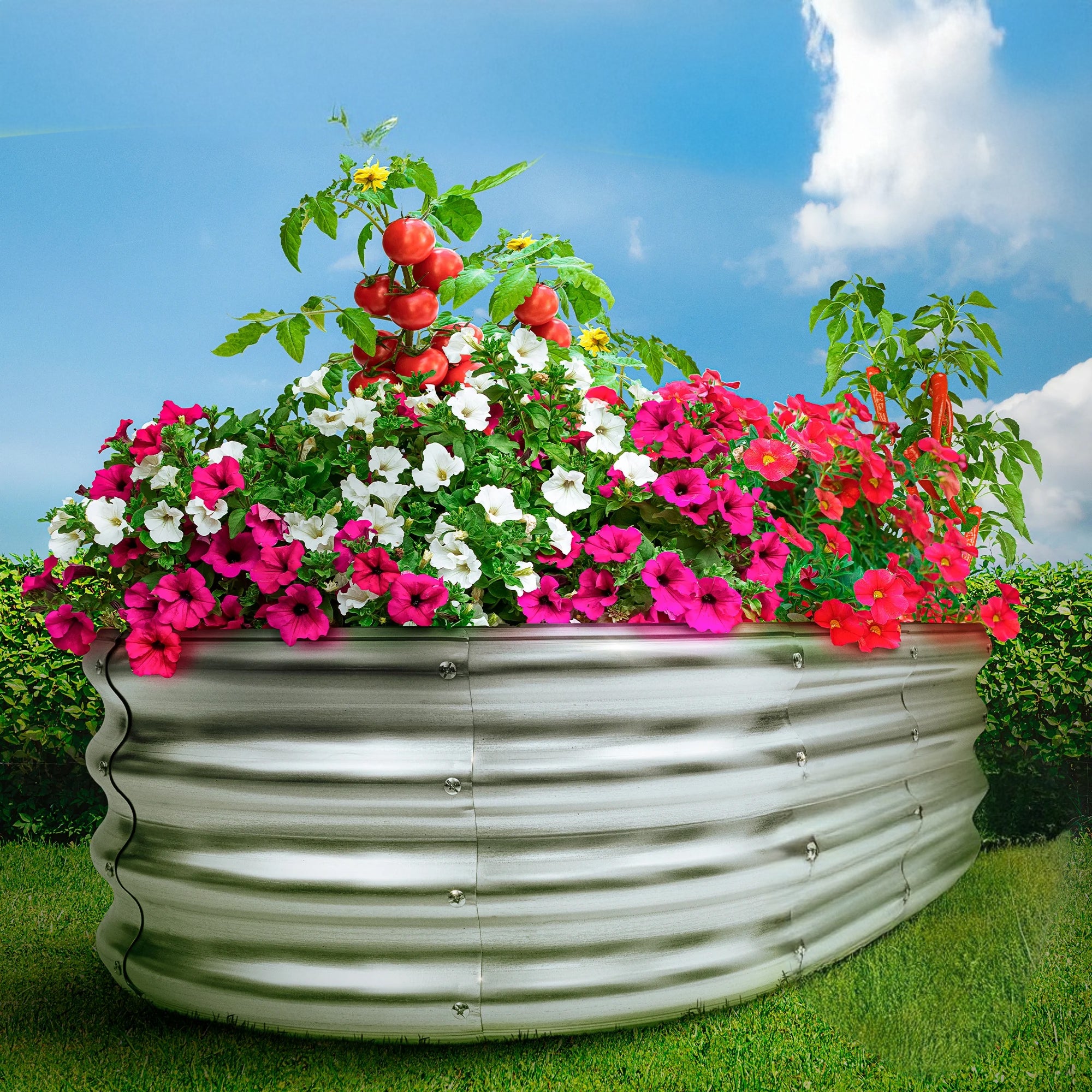 Carré potager surélevé acier galvanisé robuste – Image 12