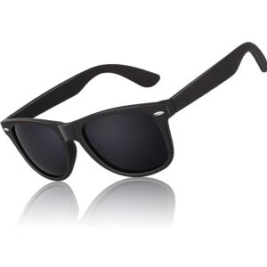 Monture noire mate _ Verres fumés