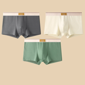 Gris-Blanc-Vert