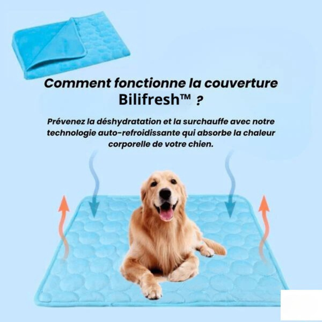 Tapis chien rafraîchissant gel thermorégulateur lavable – Image 4