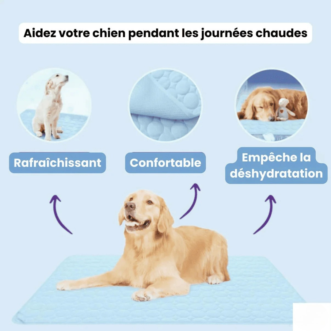 Tapis chien rafraîchissant gel thermorégulateur lavable – Image 5