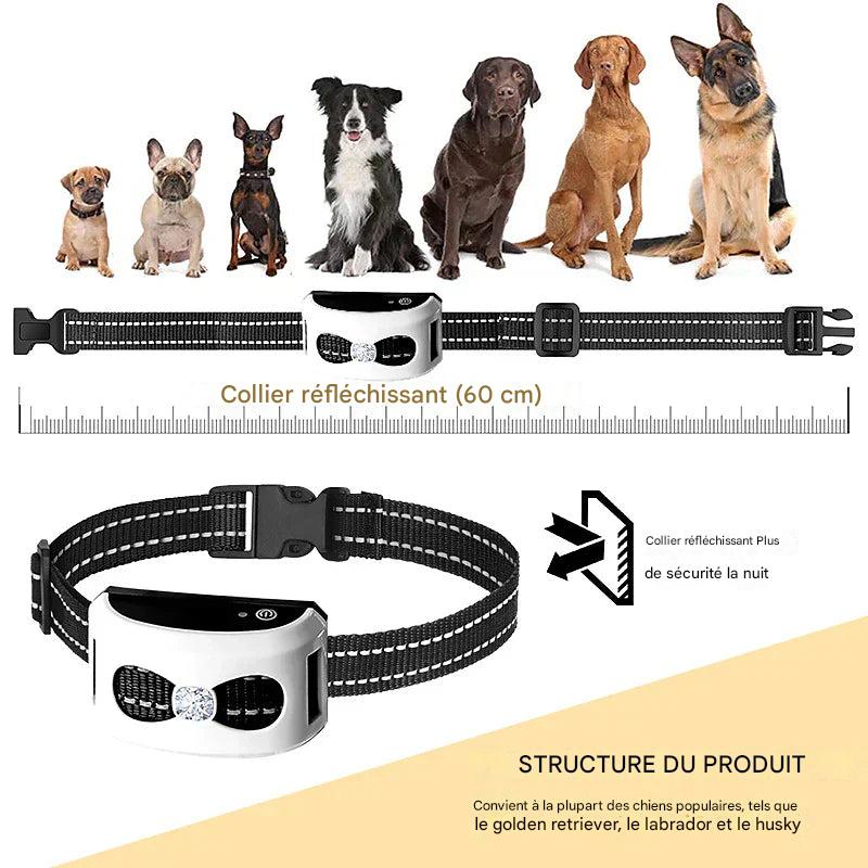 Système Éducation Chien Sans Fil 2-en-1 Dressage Sécurité – Image 9
