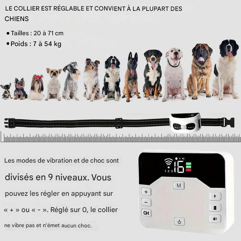 Système Éducation Chien Sans Fil 2-en-1 Dressage Sécurité – Image 7