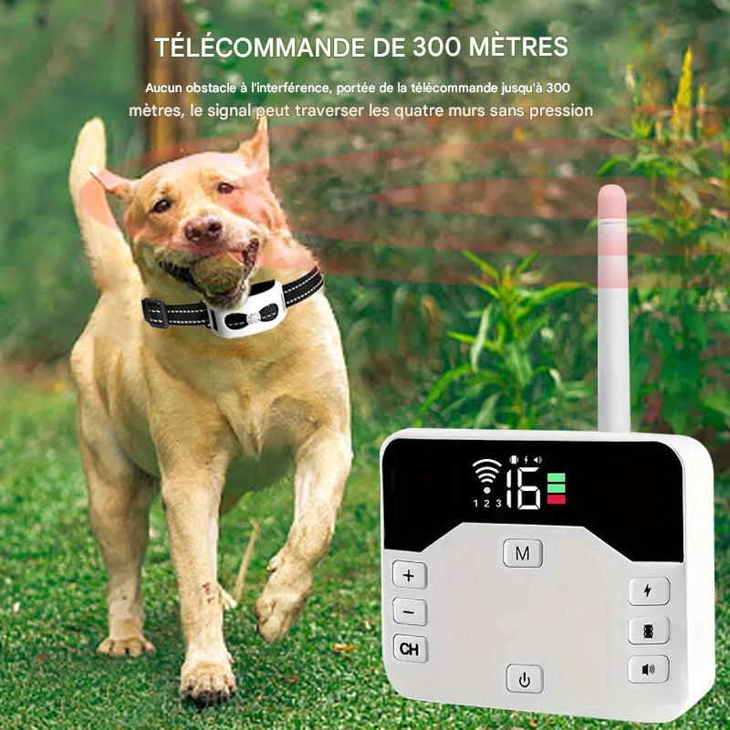 Système Éducation Chien Sans Fil 2-en-1 Dressage Sécurité – Image 3