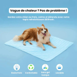 Tapis chien rafraîchissant gel thermorégulateur lavable