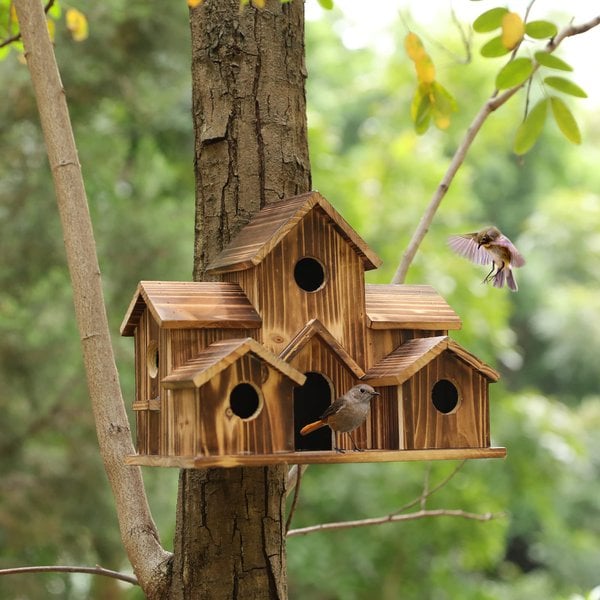 Maisonnette oiseaux bois 6 entrées – Abri jardin rustique – Image 2