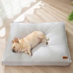 Lit pour Chien Ergonomique Anti-Pression Housse Étanche