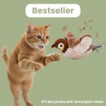 Jouet oiseau automatique chat d'intérieur rechargeable