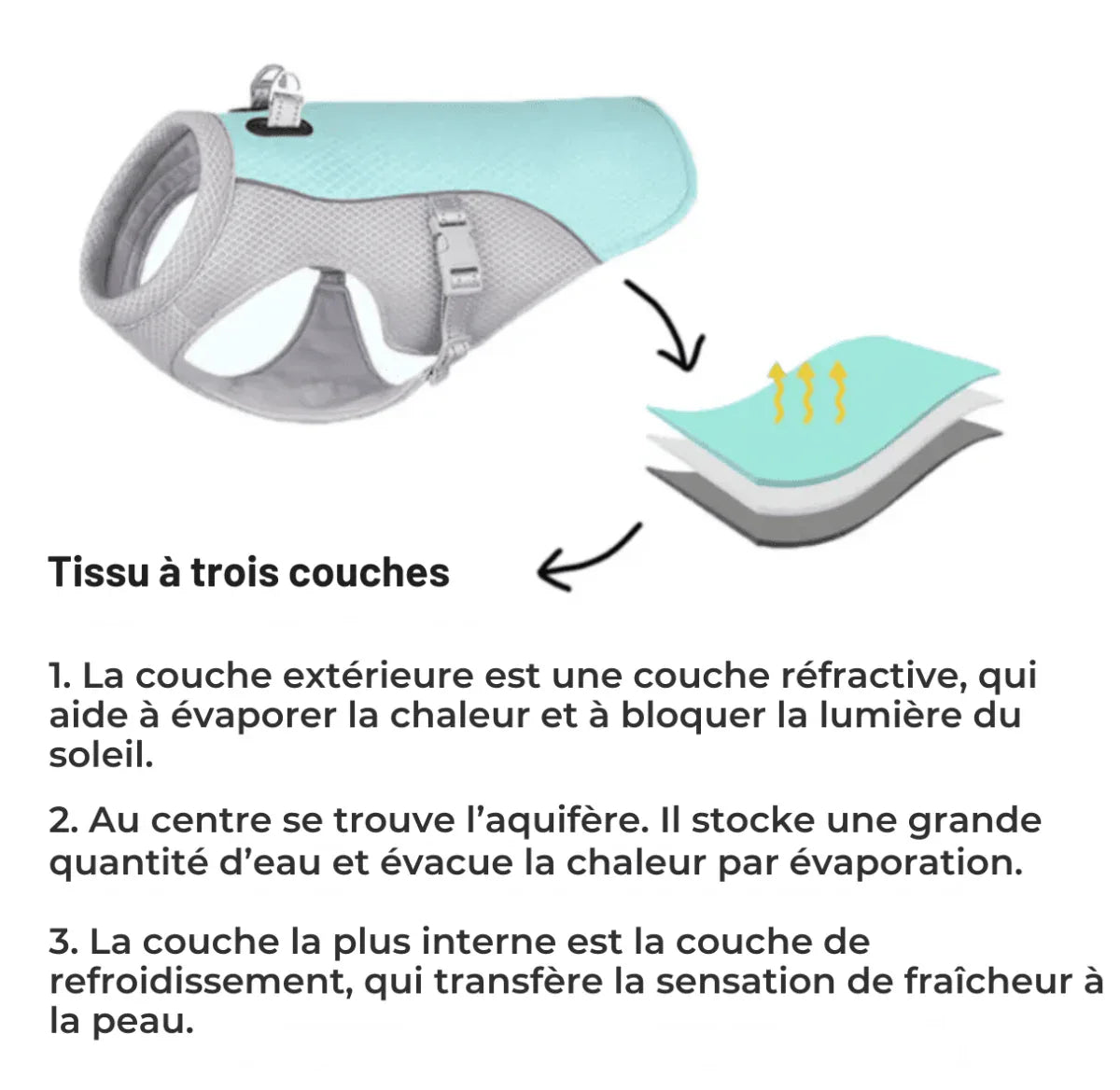 Gilet rafraîchissant chien harnais intégré protection UV – Image 9