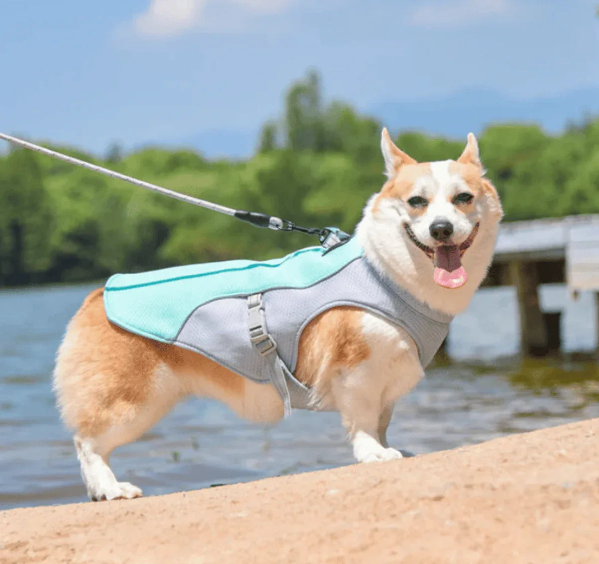 Gilet rafraîchissant chien harnais intégré protection UV – Image 6