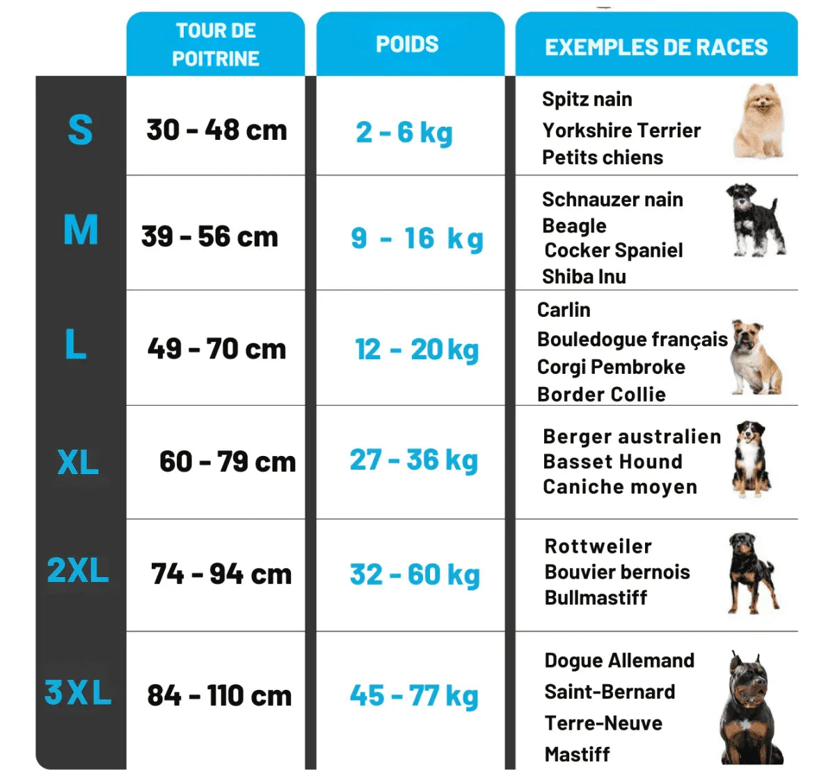 Gilet rafraîchissant chien harnais intégré protection UV – Image 10