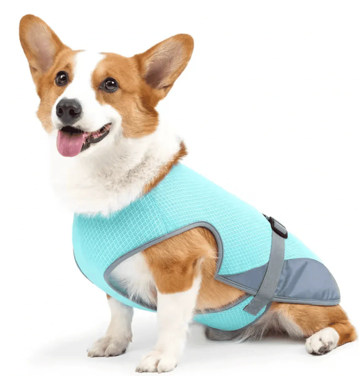 Gilet rafraîchissant chien harnais intégré protection UV – Image 11