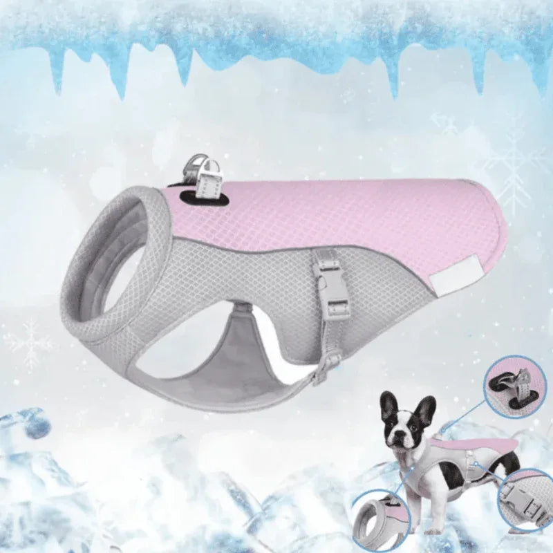Gilet rafraîchissant chien harnais intégré protection UV – Image 14