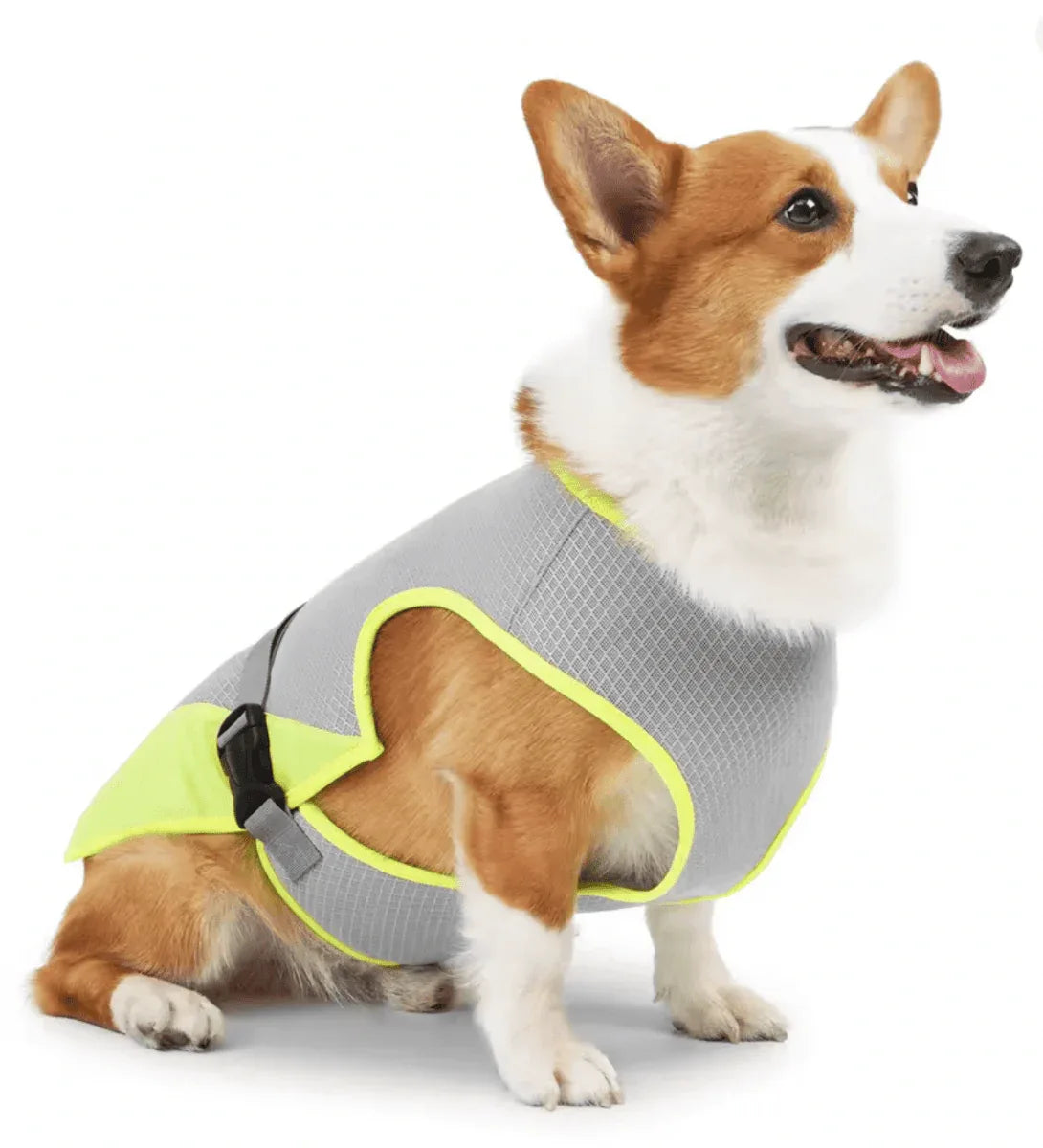 Gilet rafraîchissant chien harnais intégré protection UV – Image 8