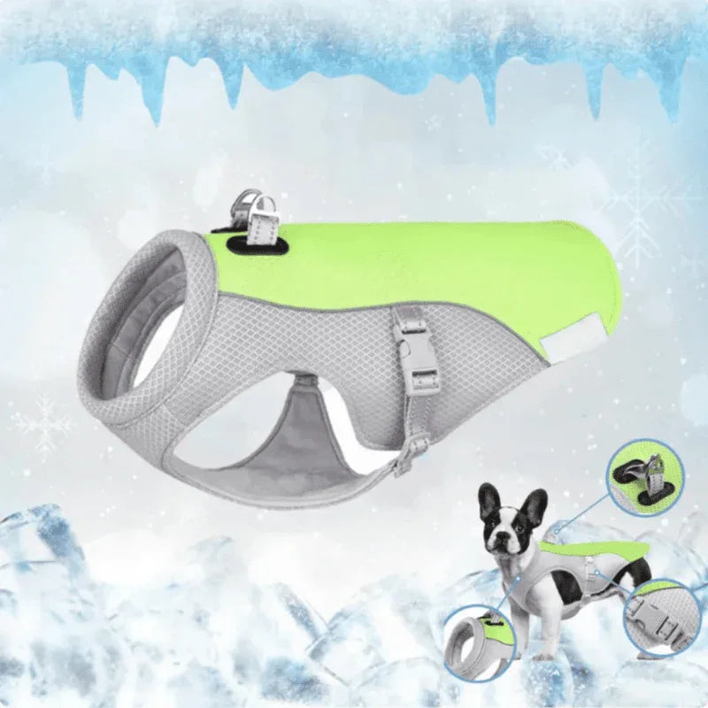 Gilet rafraîchissant chien harnais intégré protection UV – Image 12
