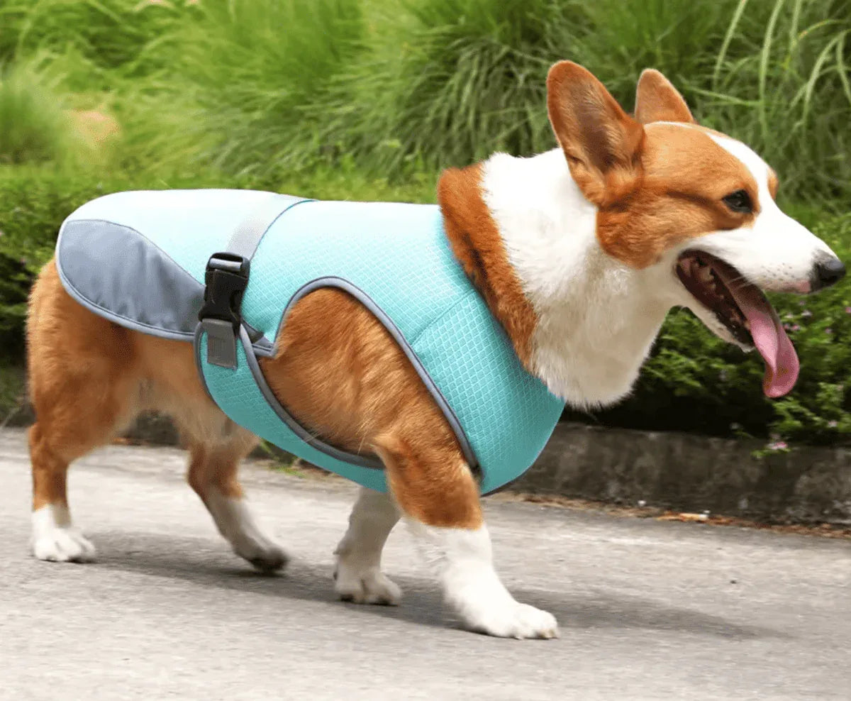 Gilet rafraîchissant chien harnais intégré protection UV – Image 2