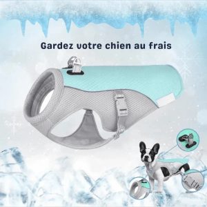 Gilet rafraîchissant chien harnais intégré protection UV